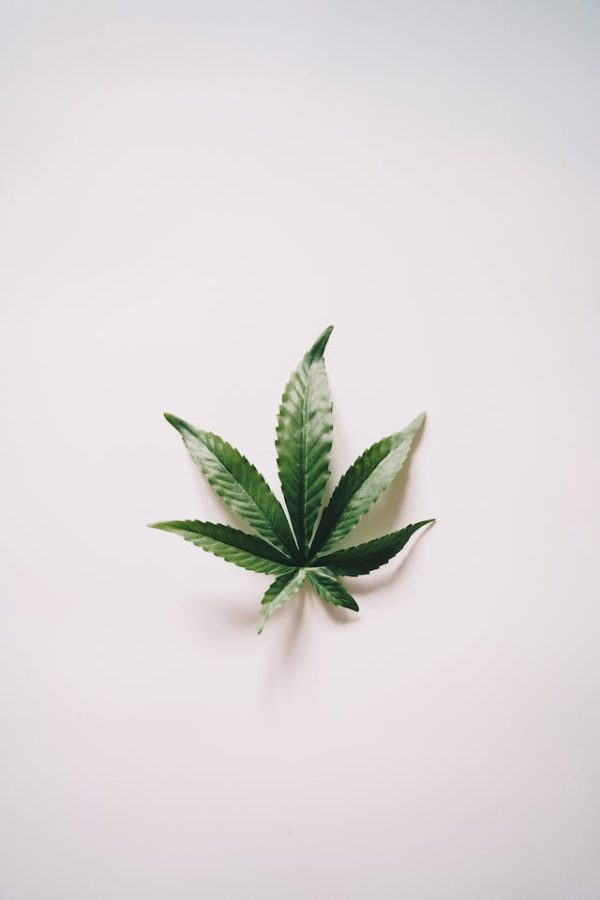 La Science Derrière l’Euphorie du Cannabis: Une Exploration des Effets sur le Corps et l’Esprit